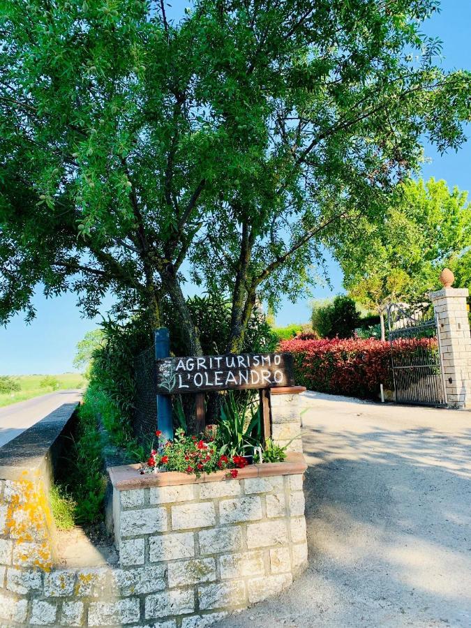 8380 Agriturismo L'Oleandro モンテメラノ エクステリア 写真